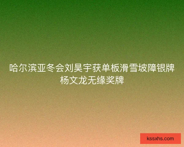 哈尔滨亚冬会刘昊宇获单板滑雪坡障银牌杨文龙无缘奖牌